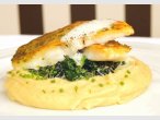 Pikepearch on creamy spinach
